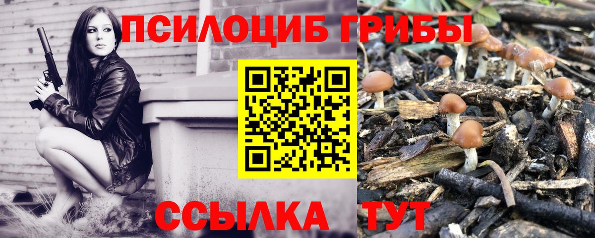 Галлюциногенные грибы Psilocybe Чебоксары