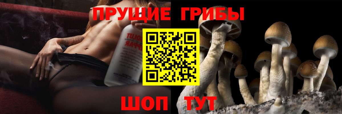 Чебоксары  Галлюциногенные грибы GOLDEN TEACHER  Вход с VPN  Галлюциногенные грибы Cubensis 